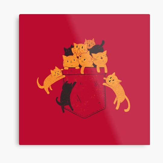 Discover Pocket Cats
