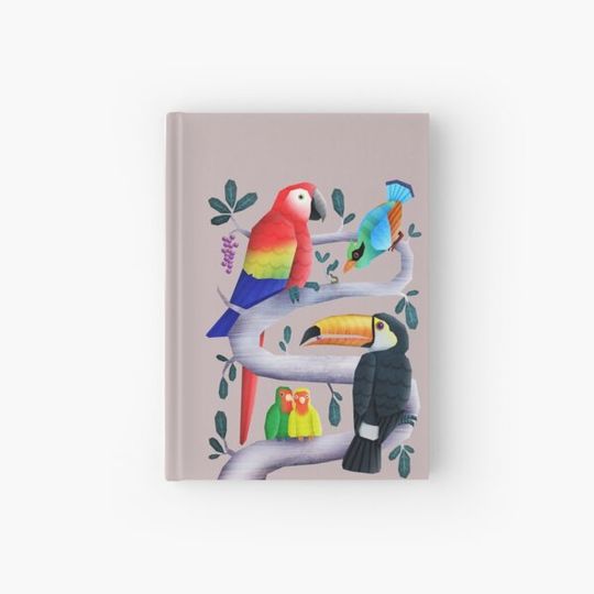 Discover Birds
