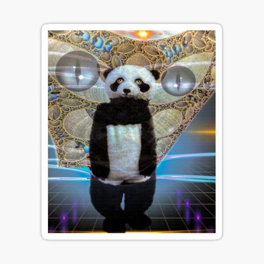 Discover Panda's Coming