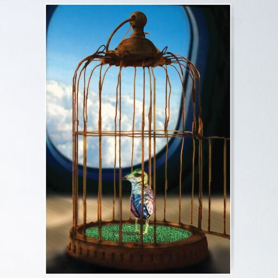 Discover Learning to Fly