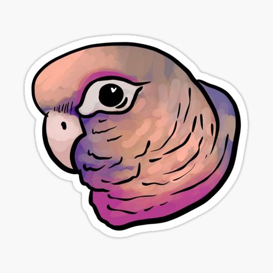 Discover Anxious birb