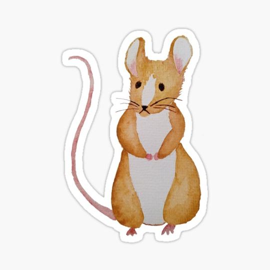 Discover Anxious Mouse