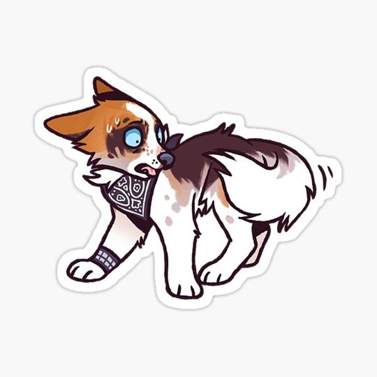 Discover Anxious dog boy