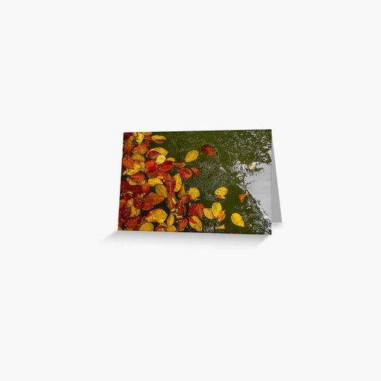 Discover Natural Floating leaf