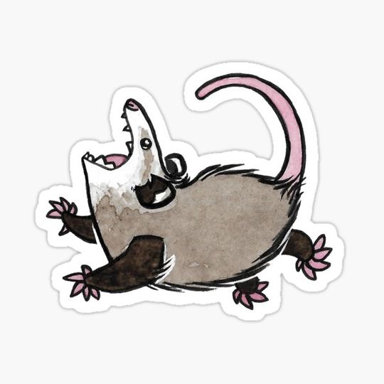 Discover Awesome Possum | Simple opossum, screaming ofc