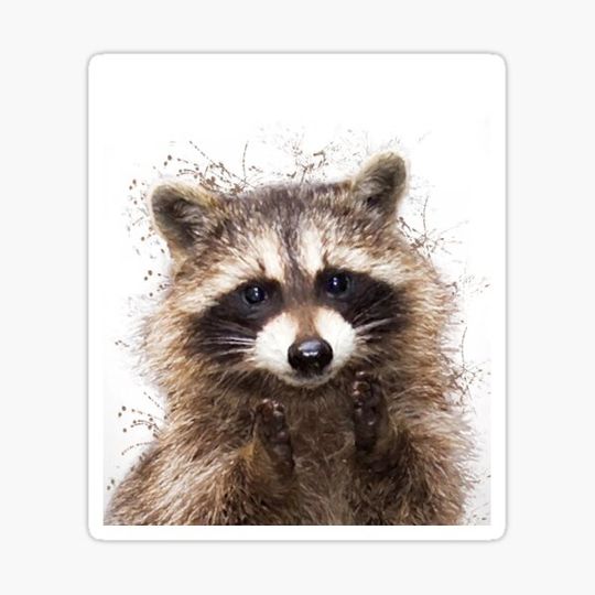 Discover Raccoon watercolor animals nursery decor