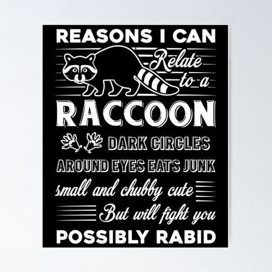 Discover Raccoon - Reason To Relate A Raccoon