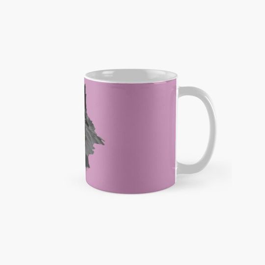 Discover Rose the Raccoon