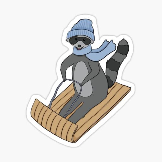 Discover Sledding Raccoon