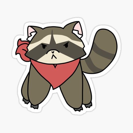 Discover Angry raccoon