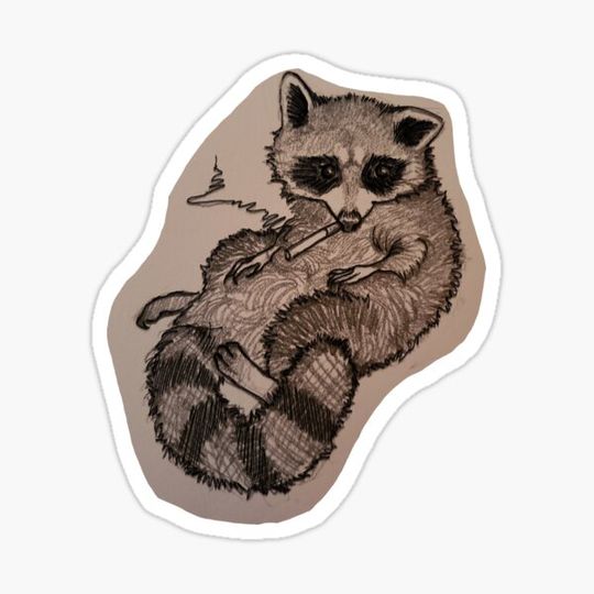 Discover Chill Raccoon