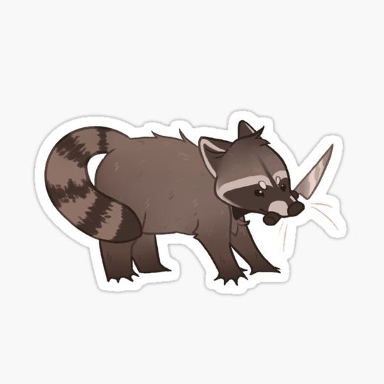 Discover Danger Raccoon