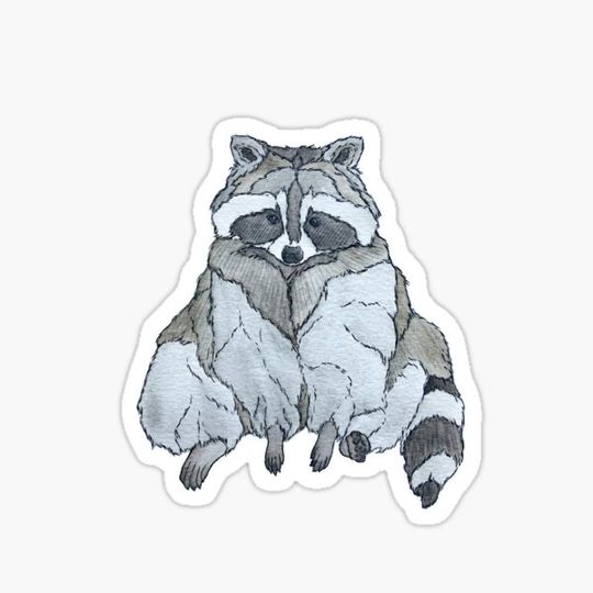 Discover Adorable sitting raccoon