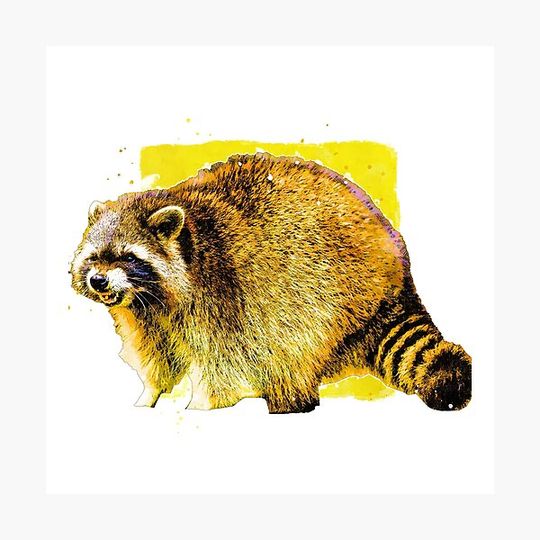 Discover Raccoon Animal Art