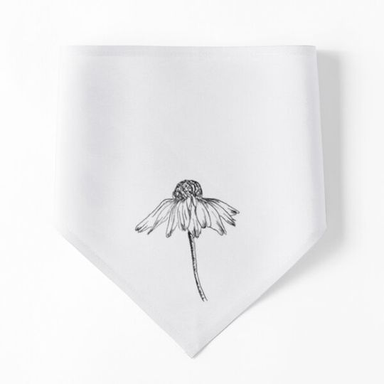 Discover Daisy Flower Drawing