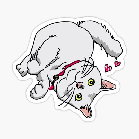 Discover Cuddly kitty