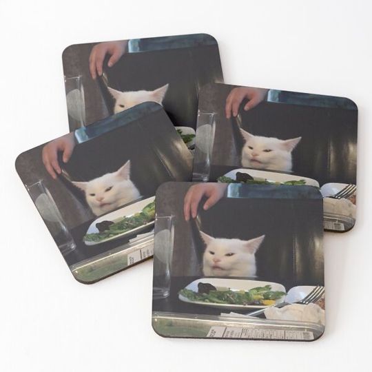 Discover It Cat
