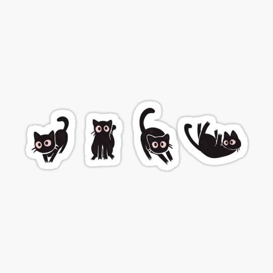 Discover Cats