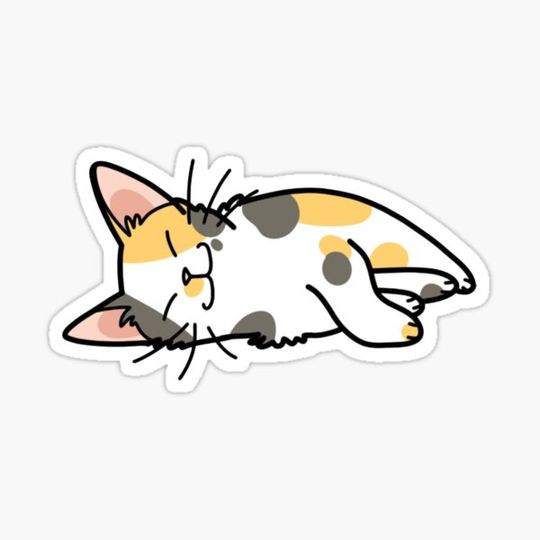 Discover Spotted Cat
