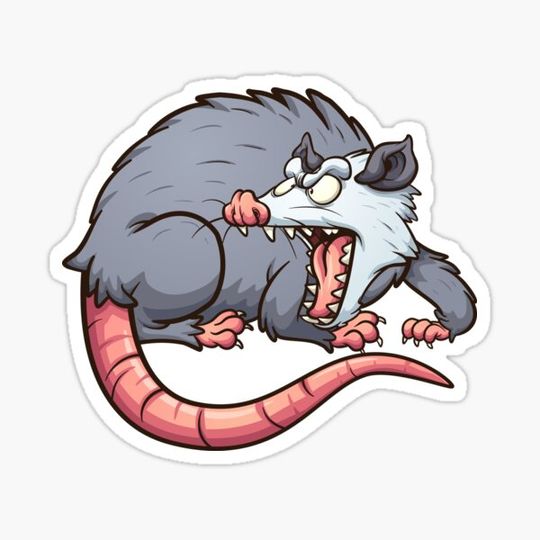 Discover Opossum Sticker