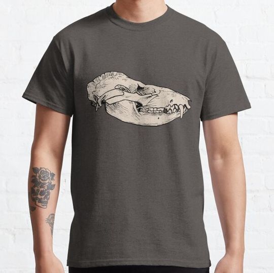 Discover Opossum Skull Drawing