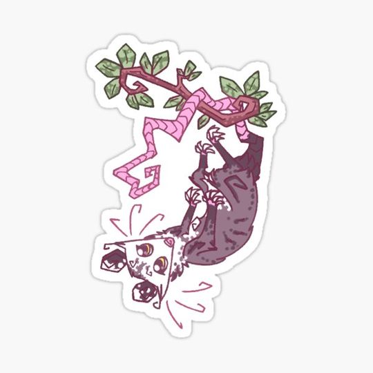 Discover Hanging Opossum