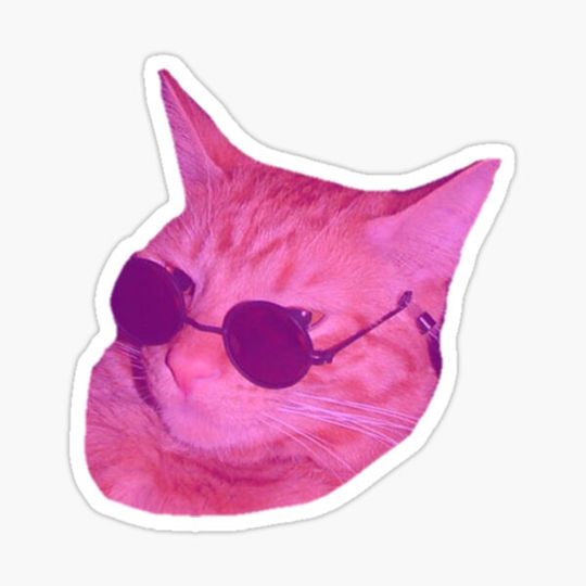 Discover Funny Cute Geeky Hipster Pink Cat Wearing Glasses Sticker