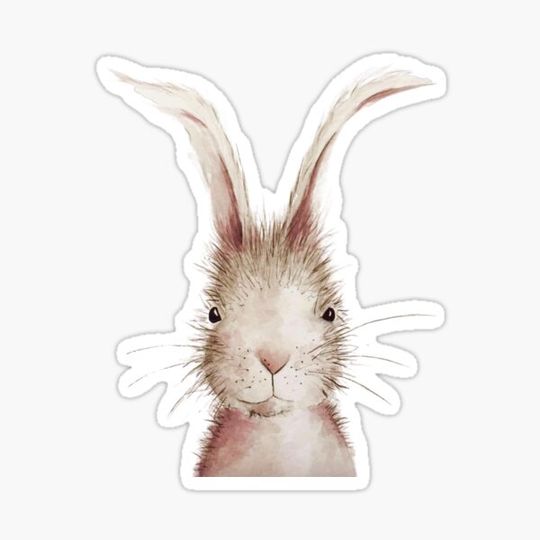 Discover Titch Hare