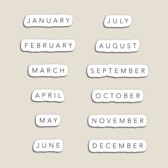 Discover Months of the Year (Black)