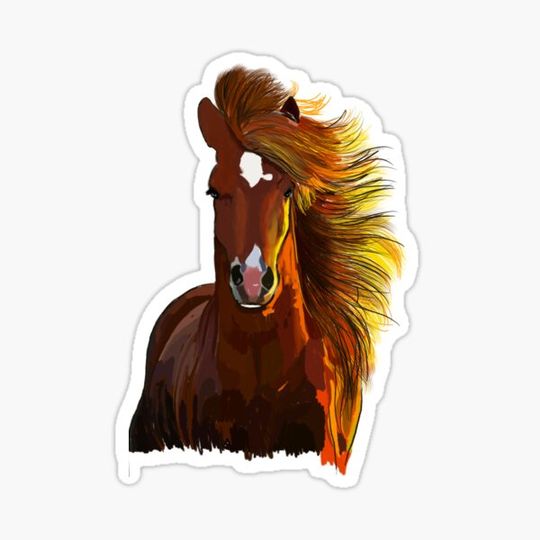 Discover Sunrise horse