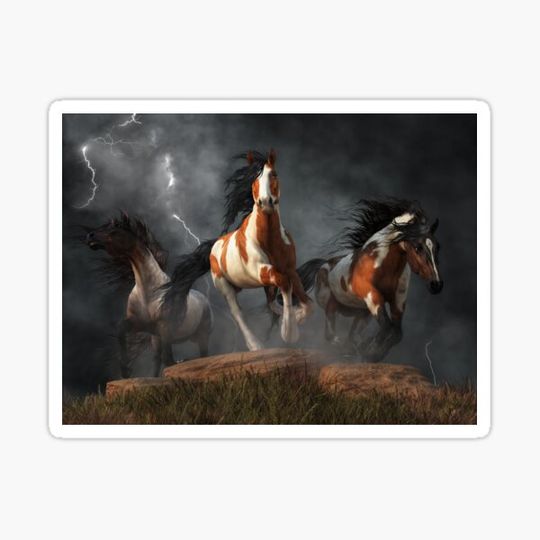 Discover Mustangs of the Storm