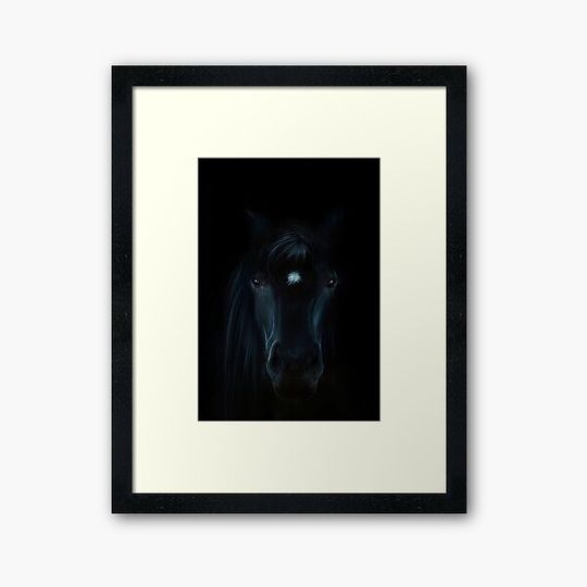 Discover Horse
