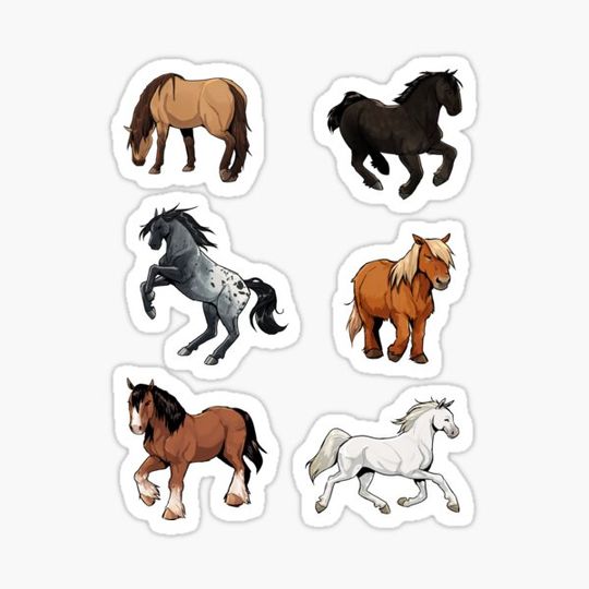 Discover horses!