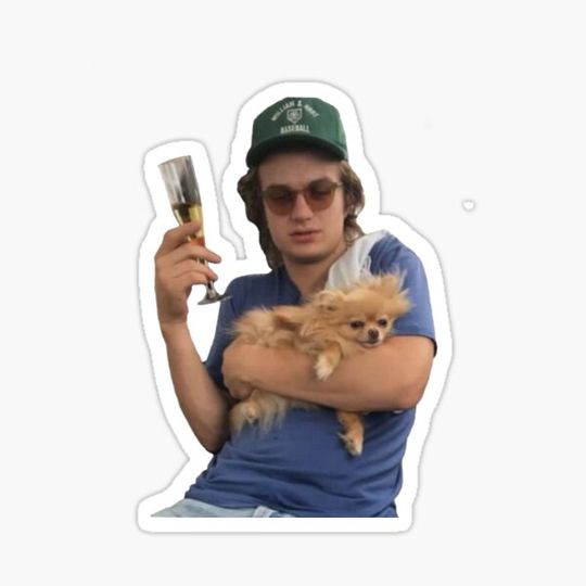 Discover Joe Keery my Spirit Animal
