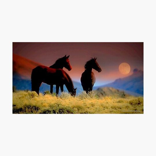 Discover FEARLESS AND FREE THESE WILD HORSES ARE THE LUCKY ONES THEY BELONG TO NO ONE