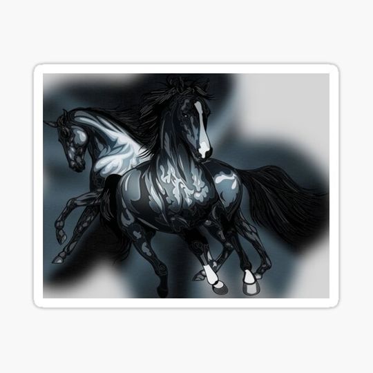 Discover Horse Сolor print