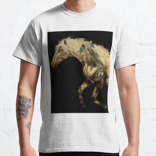 Discover Appaloosa Spirit Horse
