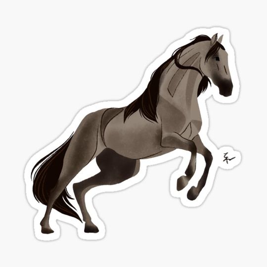 Discover Andalusian Horse
