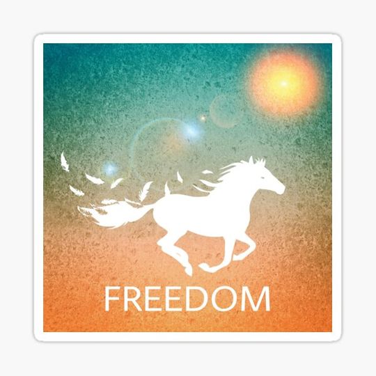 Discover SIGUES LOOKING FOR YOUR FREEDOM