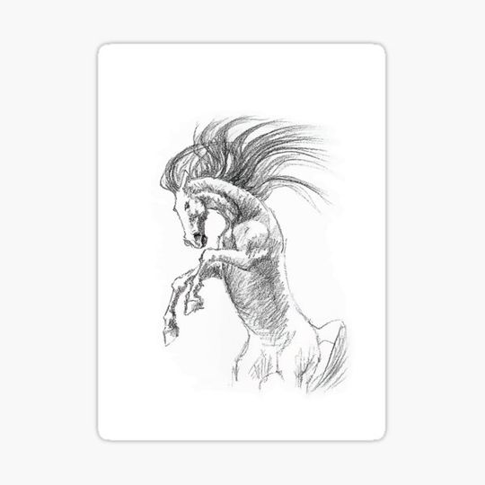Discover Rearing horse