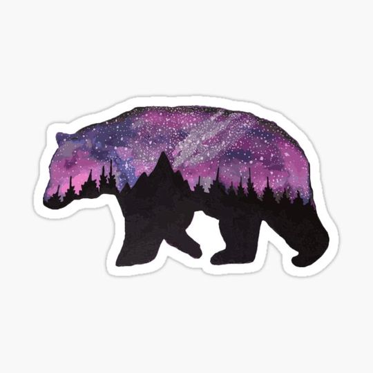 Discover Spirit Bear