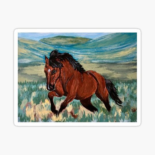 Discover Mustang