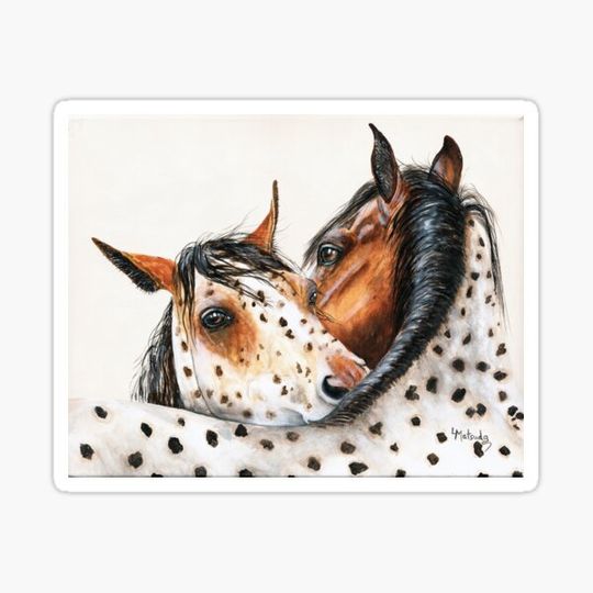 Discover Spotted Buddies