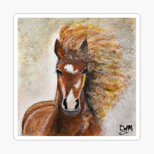 Discover Wild Mustang