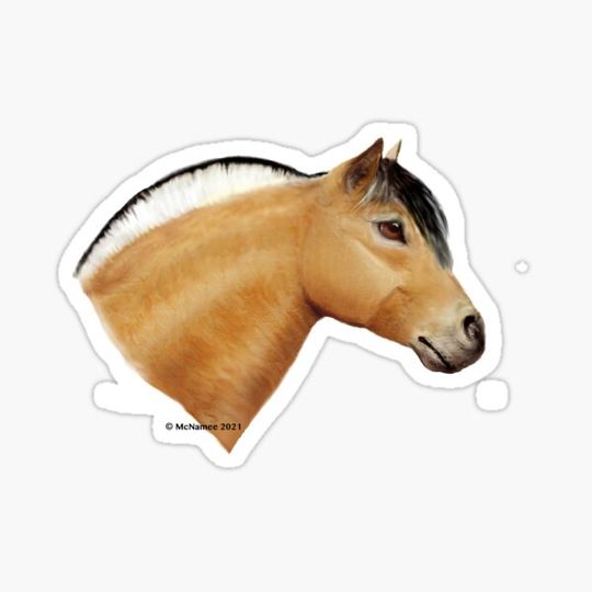 Discover Norwegian Fjord Horse