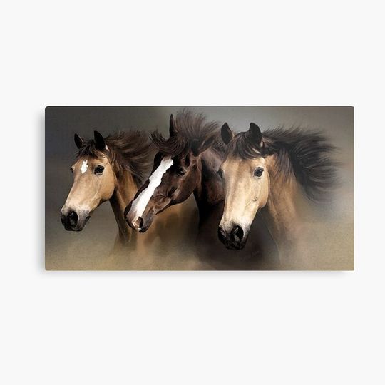 Discover Equine Dreams Horse Portrait