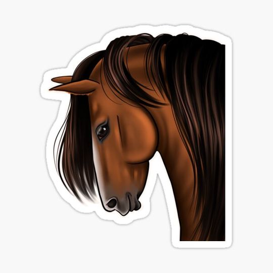 Discover Horse