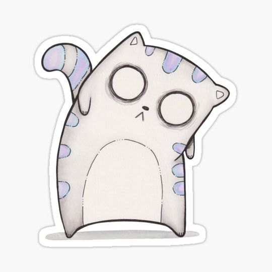 Discover Sack Cat