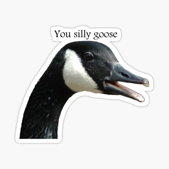 Discover You silly goose