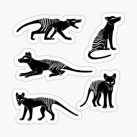 Discover Thylacine silhouette pack (black)